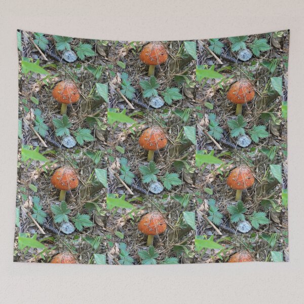 Item preview, Small Red Forest Mushroom  designed and sold by silviaol.
