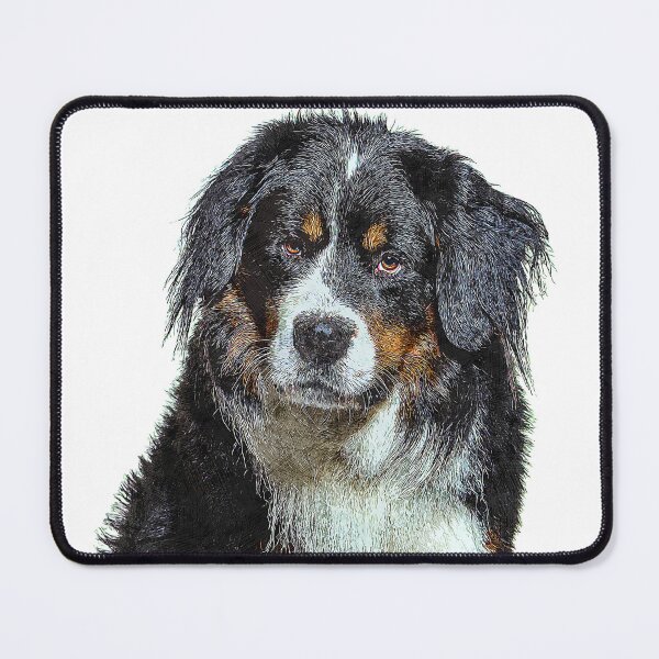 Item preview, Very Smart Good Looker, Bernese Mountain Dog - Custom Pet Portrait Art Studio designed and sold by Custom Pet Portrait Art Studio.