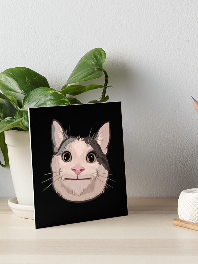 Meme cat funny face | Art Board Print