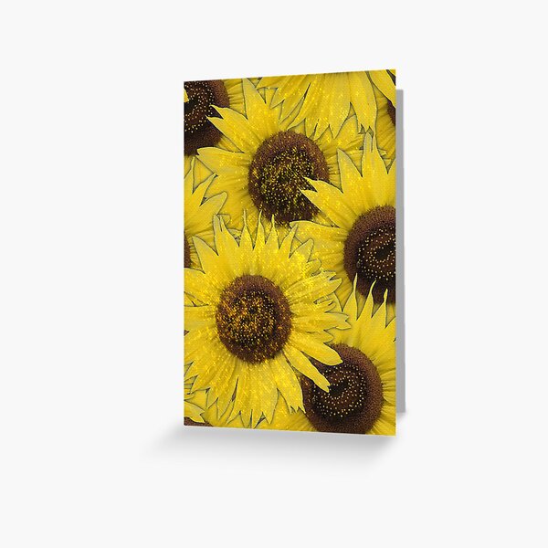 Lemon Queen Sunflowers From My Garden No. 005 Greeting Card