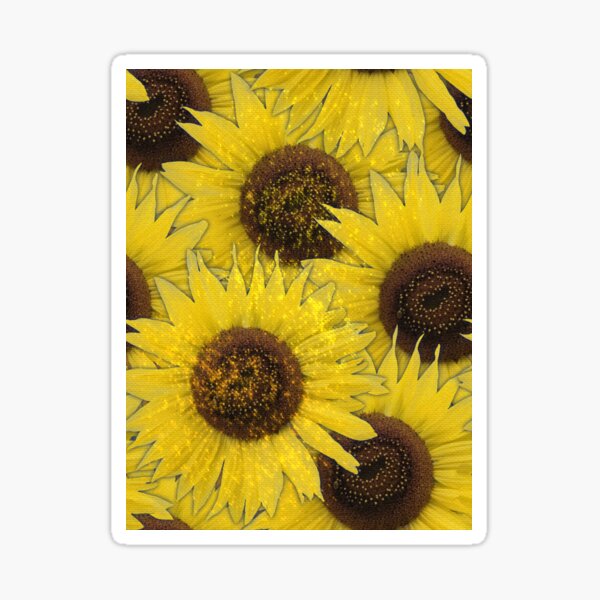 Lemon Queen Sunflowers From My Garden No. 005 Sticker