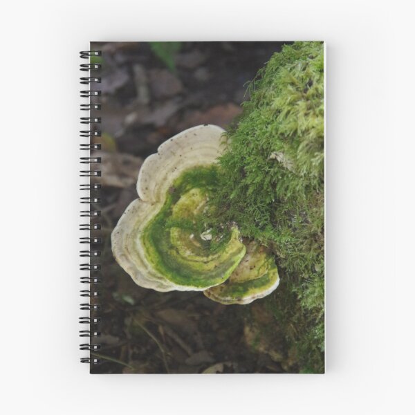 Item preview, Bracket Fungus At Golitha designed and sold by lezvee.
