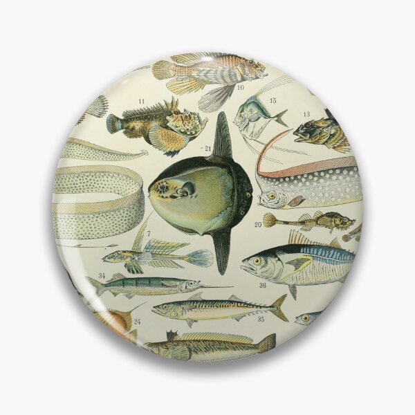 Item preview, Vintage Fish Adolphe Millot designed and sold by ind3finite.
