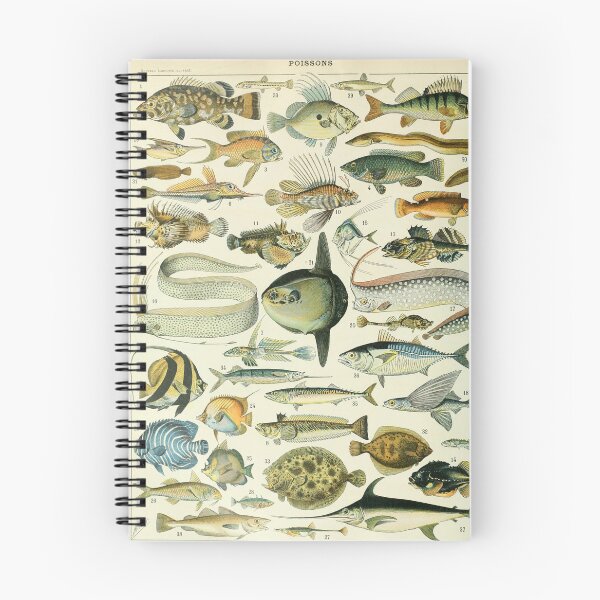 Item preview, Vintage Fish Adolphe Millot designed and sold by ind3finite.