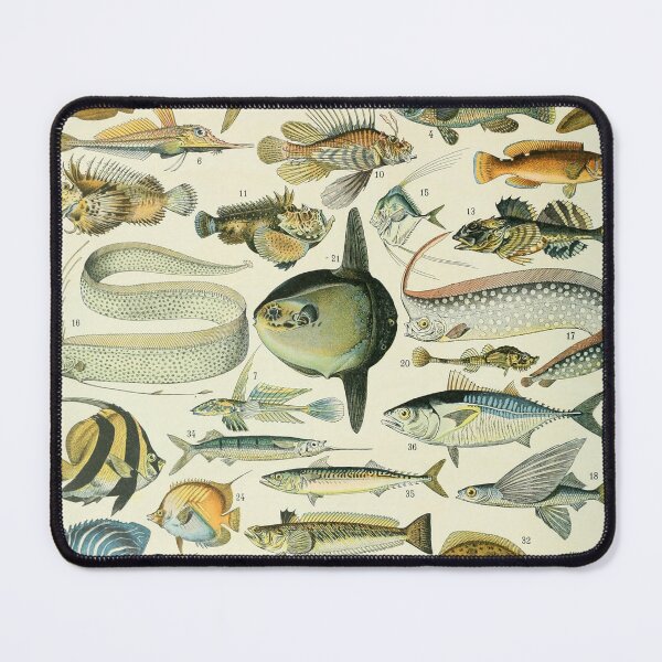 Item preview, Vintage Fish Adolphe Millot designed and sold by ind3finite.
