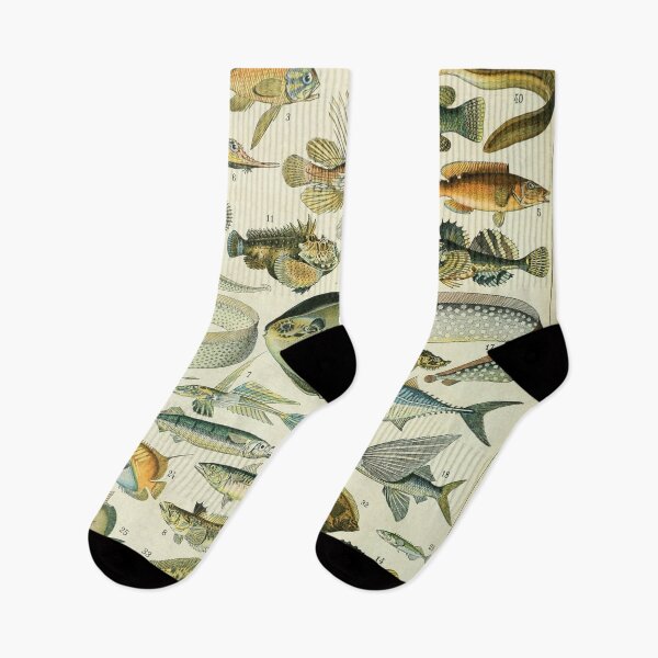 Item preview, Vintage Fish Adolphe Millot designed and sold by ind3finite.