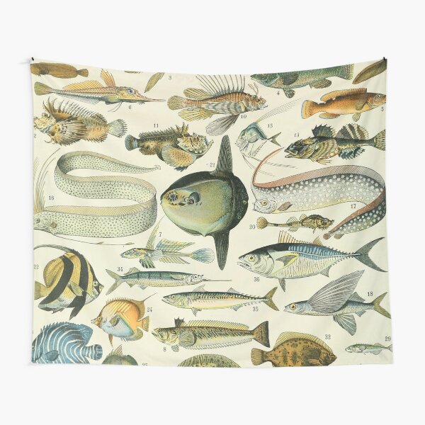 Item preview, Vintage Fish Adolphe Millot designed and sold by ind3finite.