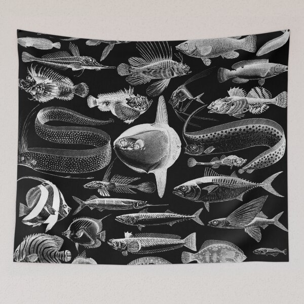 Item preview, Vintage Fish Illustration Ocean Sea Life  designed and sold by ind3finite.
