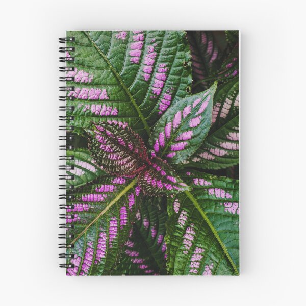 Item preview, purple foliage designed and sold by shatha-rose.