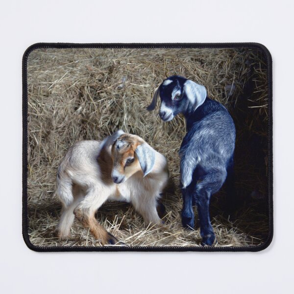 Item preview, Goat Kids designed and sold by Savannah Gibbs.
