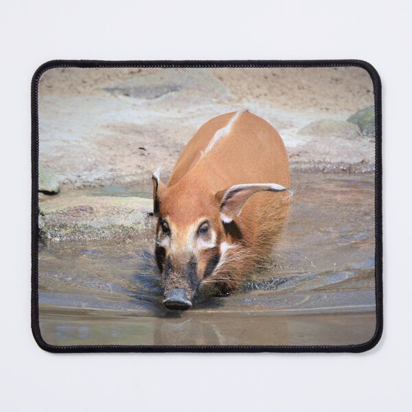 Item preview, Red River Hog designed and sold by Savannah Gibbs.