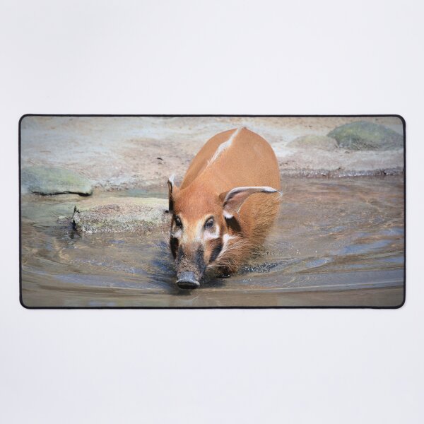 Item preview, Red River Hog designed and sold by Savannah Gibbs.
