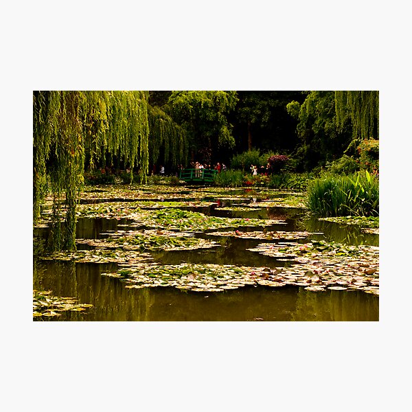 Item preview, Monet's Water Lily Garden, Giverny France designed and sold by Suraj Mathew.