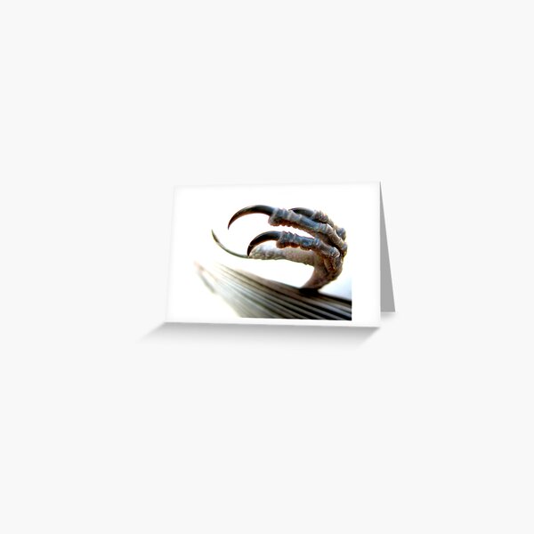 Cold Greeting Card
