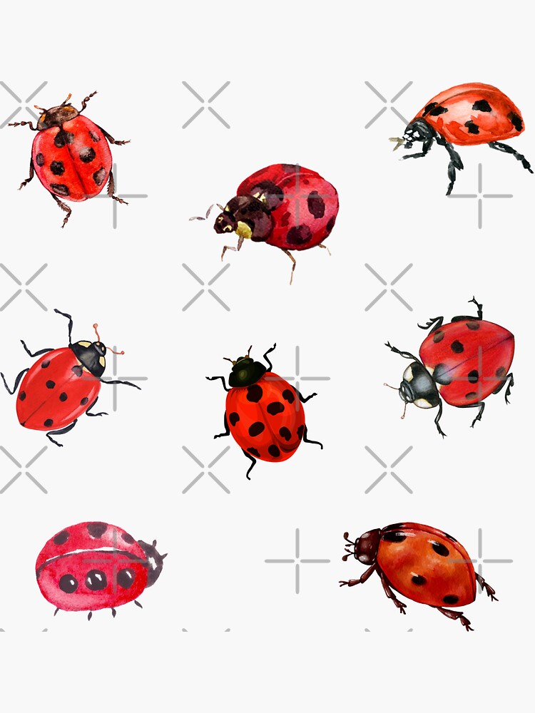 Thumbnail 3 of 3, Sticker, Watercolor Ladybugs designed and sold by silviaol.