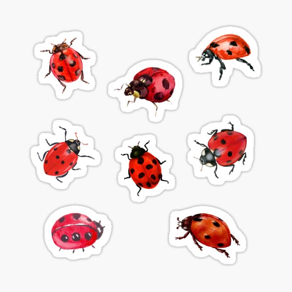 Watercolor Ladybugs Sticker for Sale by silviaol
