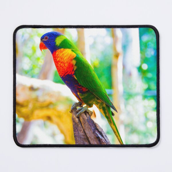Item preview, Rainbow Lorikeet on a Tree Stump designed and sold by Steven Jodoin.