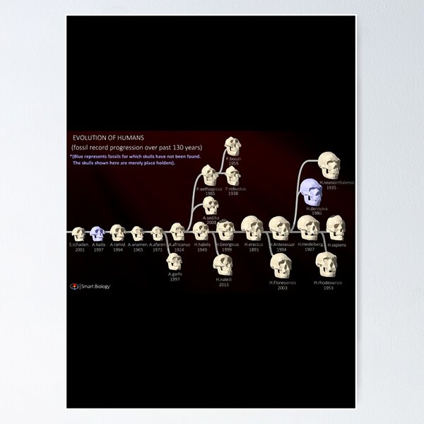 Item preview, Human Evolution  designed and sold by KimberlyR54197.