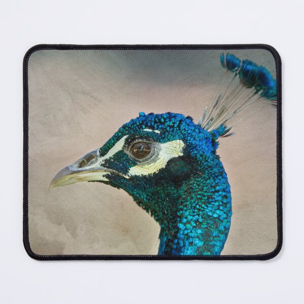 Item preview, Peacock head against brush stroke textured background designed and sold by Images by Chris de Blank.