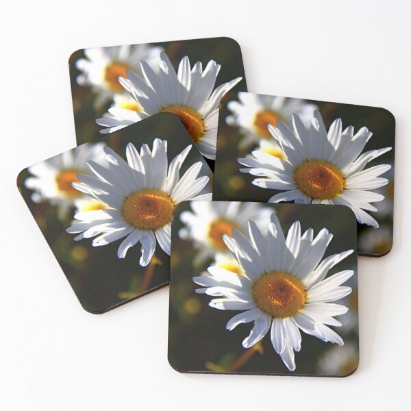 Item preview, Daisy Delight designed and sold by vernonplatt.