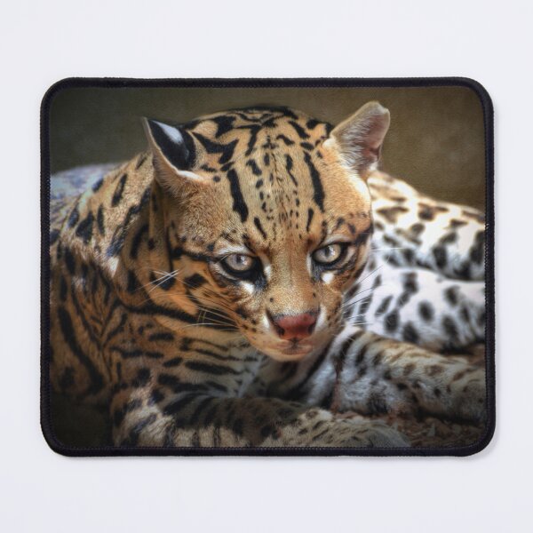 Item preview, Ocelot  designed and sold by Savannah Gibbs.