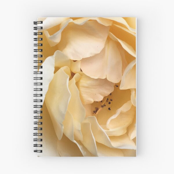 Aperçu de l'œuvre Rose endormie créée et vendue par madefound.
