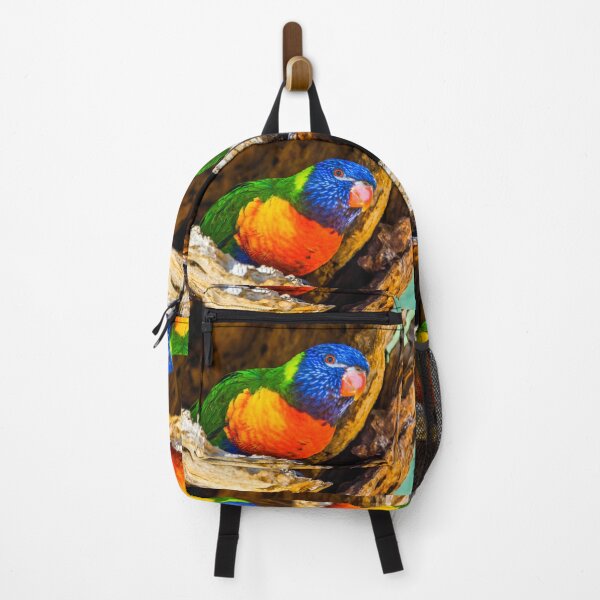 Item preview, Rainbow Lorikeet in a Tree Hollow designed and sold by Steven Jodoin.