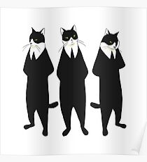 Tuxedo cats Poster