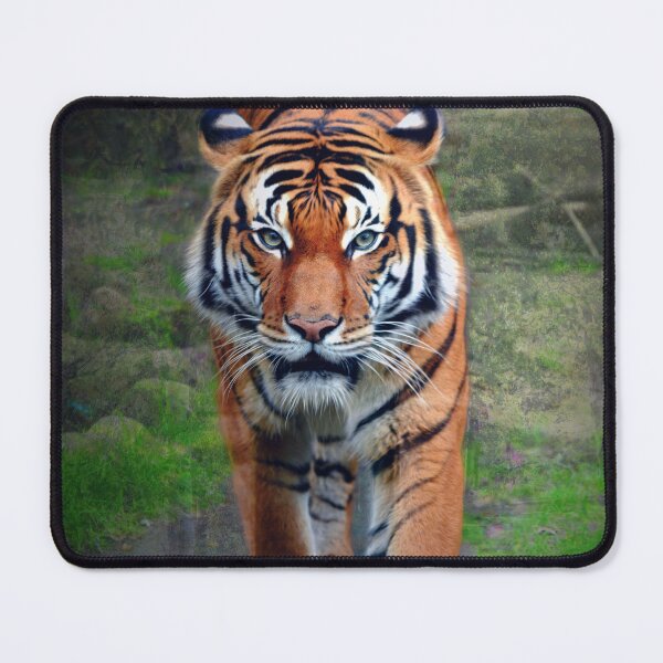 Item preview, Tiger designed and sold by Savannah Gibbs.