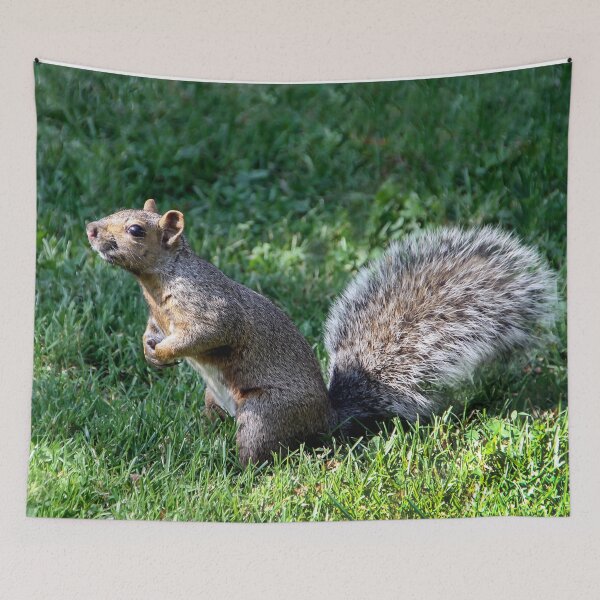 Item preview, I Smell Food! designed and sold by heatherfriedman.