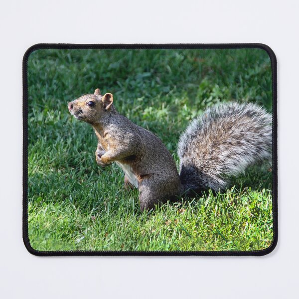 Item preview, I Smell Food! designed and sold by heatherfriedman.