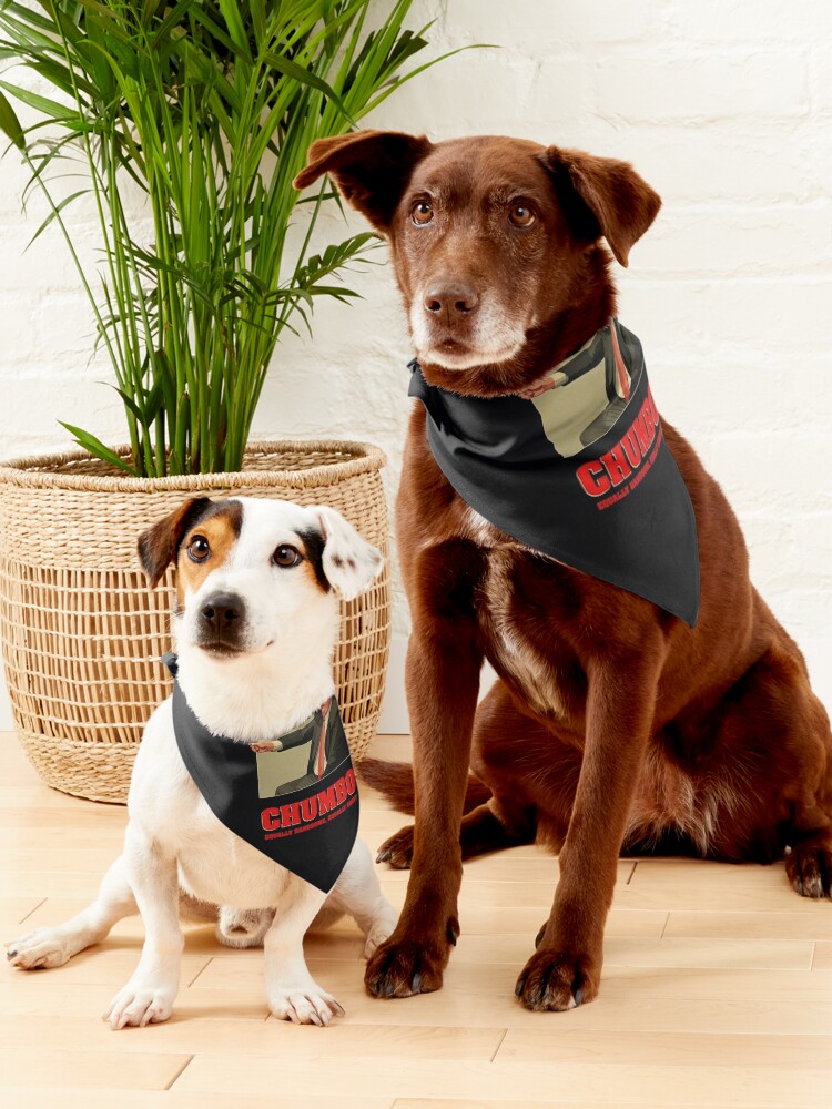 The fashion office dog bandana