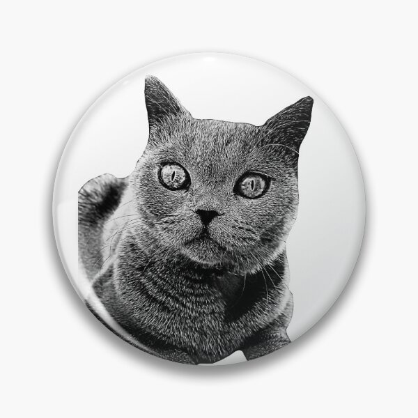 Aperçu de l'œuvre Chat bleu britannique à poil court créée et vendue par Catisphere.