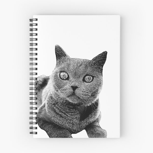Item preview, British Blue Shorthair cat designed and sold by Catisphere.