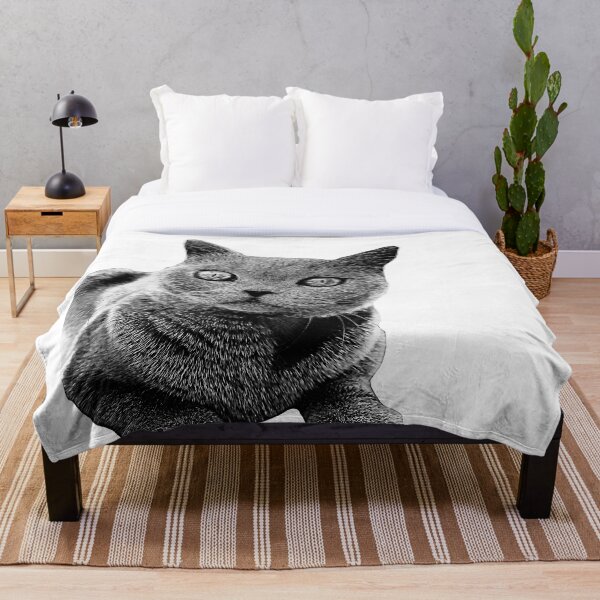 Item preview, British Blue Shorthair cat designed and sold by Catisphere.