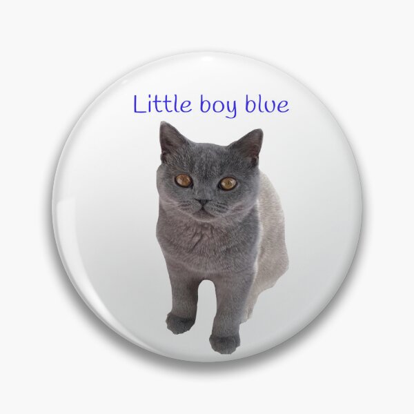Aperçu de l'œuvre Petit garçon bleu créée et vendue par Catisphere.