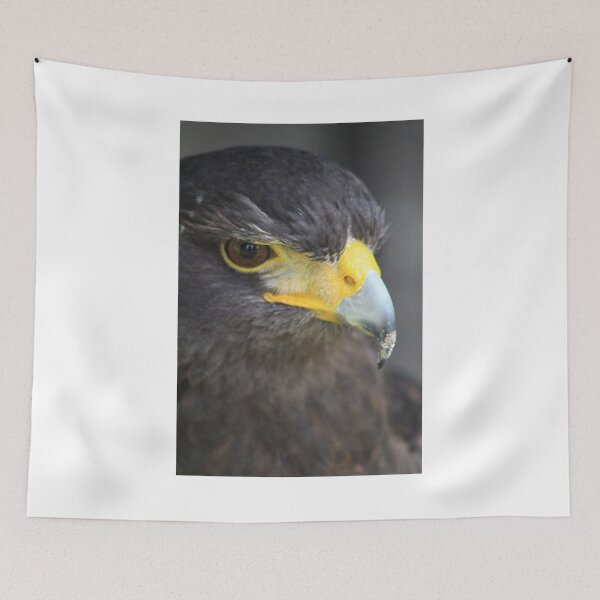 Item preview, Harris Hawk designed and sold by Alyce Taylor.