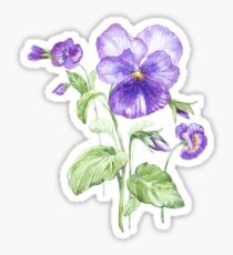 Pansy Sticker