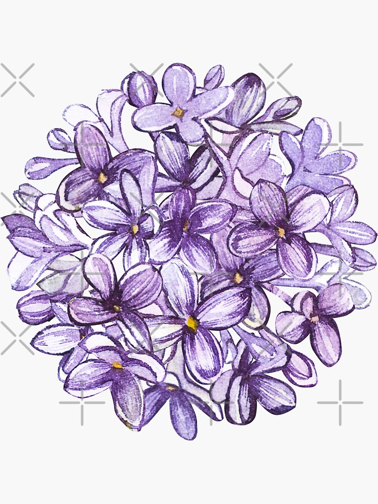 Lilac by Asetrova