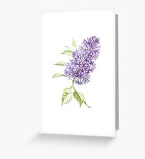 Lilac Greeting Card