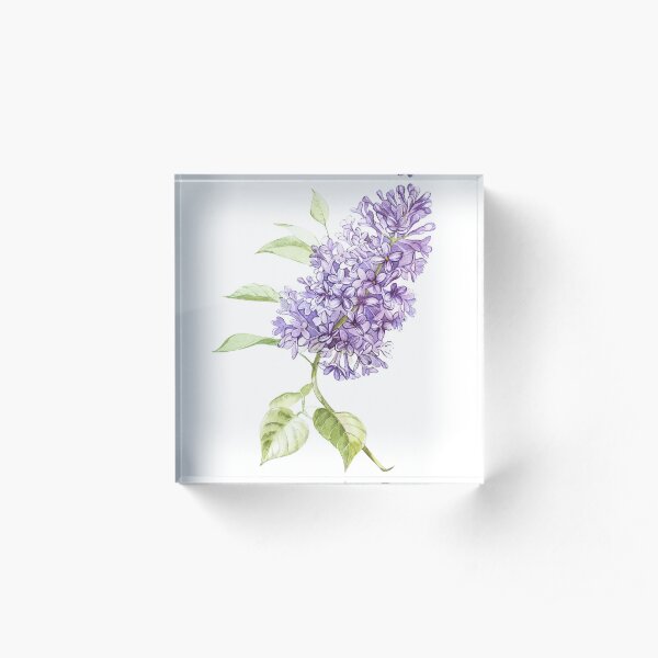 Lilac Acrylic Block