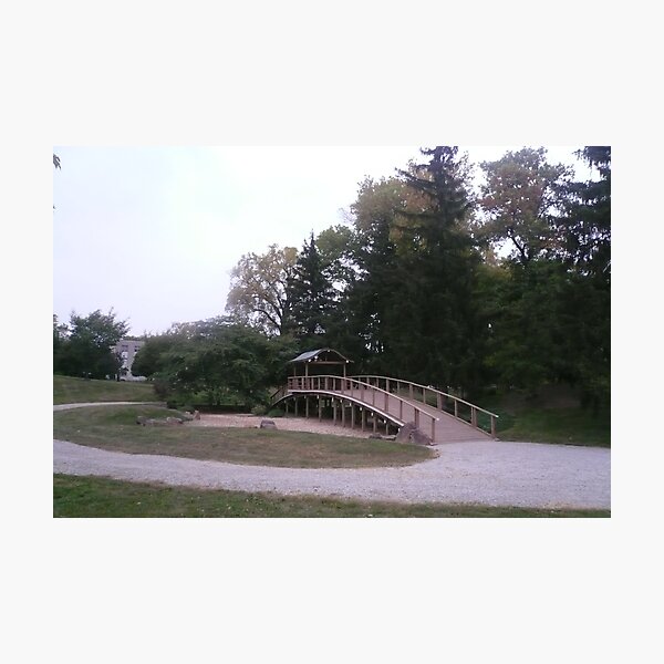 Bridging the Gap Photographic Print