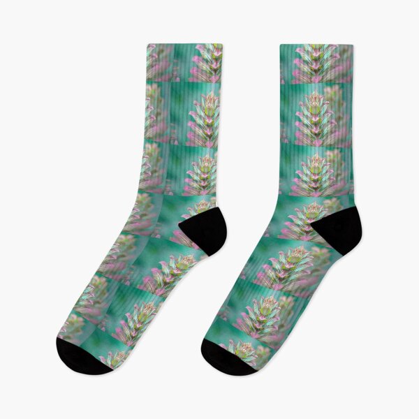 Item preview, Acanthus Flower designed and sold by Alisonchambers2.