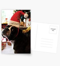 Arwen on Christmas Day -Boxer Dogs Series- Postcards
