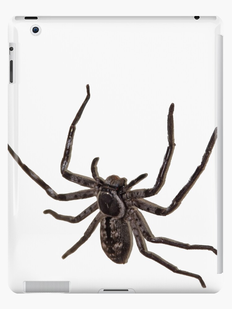 Spiders From Mars! | iPad Case & Skin