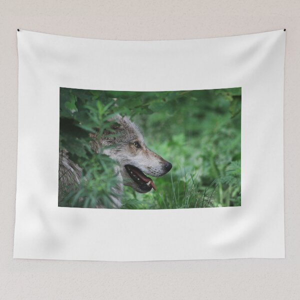 Item preview, Gray Wolf designed and sold by Alyce Taylor.