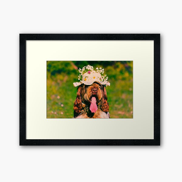 Summer afternoon at a picnic Spinone Framed Art Print
