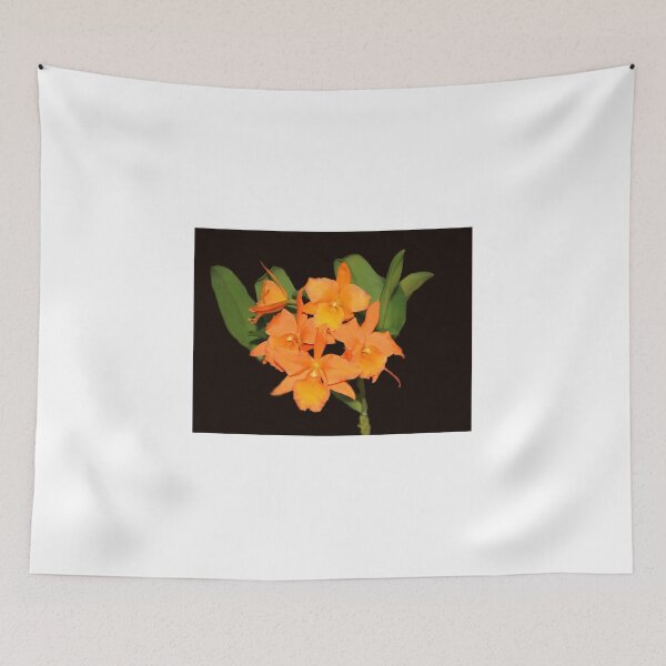 Item preview, Alluring Orchid designed and sold by vette.