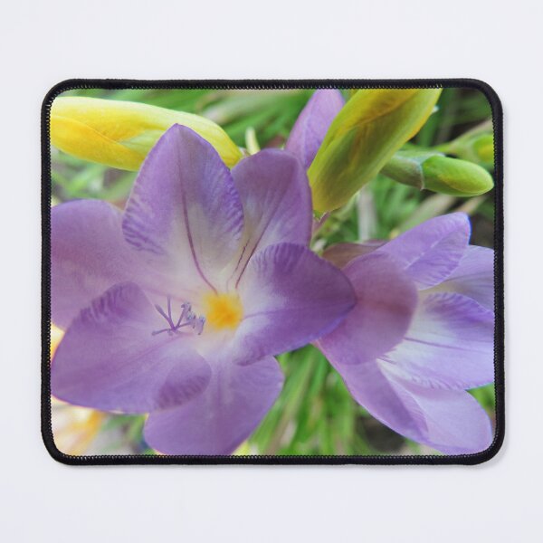 Item preview, Delicate Freesia designed and sold by Marilyn Harris.