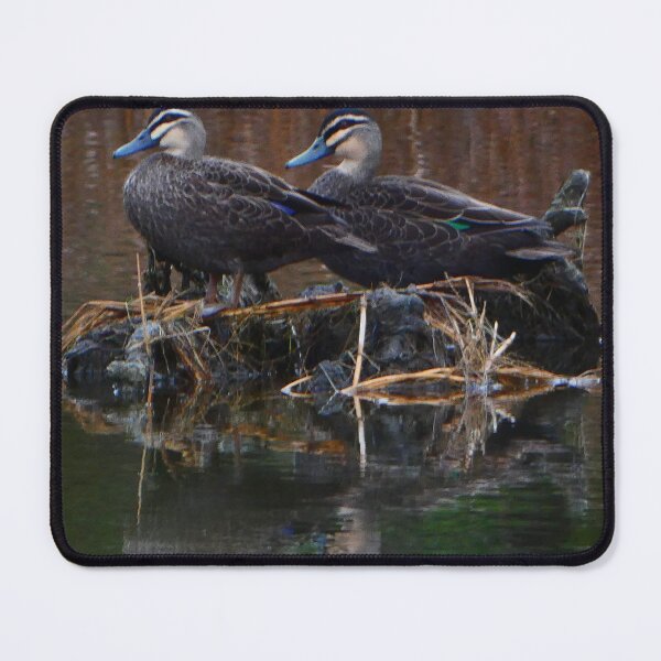 Item preview, Two ducks on the river designed and sold by Andyt.